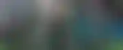 语言学习的动力：成年人学习新语言的关键