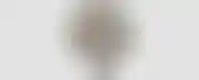 学校中的关系：构建变革性学习体验的关键