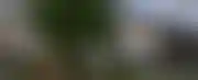 德州扑克最新版:在家学习的乐趣：增强现实与虚拟现实的探索