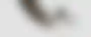 扑克抽水:QuillBot：帮助简化语言，提升写作和理解