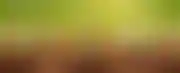 什么平台德州扑克最适合新手:Stride Funding：探索新型大学教育融资模式