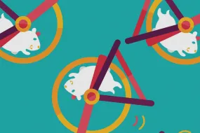 德州扑克APP有没有排行榜:教育中的“原地打转”：识别与应对策略