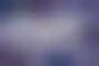 新泽西州在线扑克:WPT Borgata 系列赛来袭