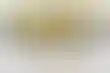 世界扑克系列赛:手链的荣耀与线上新传统