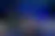 WPT重启美国现场扑克赛：幸运之心扑克公开赛