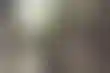 荷兰政府退还扑克玩家税款：一场漫长的法律纠纷