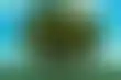 DB真人平台:扑克博弈树：高级玩家的游戏视角