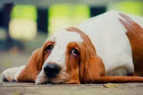 نصائح اللاعبين للتغلب على الأوقات العصيبة والصعبة