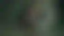 德州扑克RFI范围:《茉莉的牌局》：一部关于扑克和好莱坞的电影