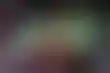 拉斯维加斯哪里可以找到便宜的热狗？