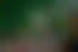 奥克兰学区面临财政危机:预算短缺与学校合并之争