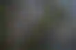 加州大学面临预算削减:对学生和机构的影响