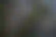 旧金山州立大学讲师裁员风波：预算危机下的困境