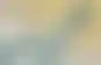 加州联邦学生援助申请下降:技术问题与影响