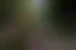 加州州立大学面临预算挑战:五亿美元的缺口