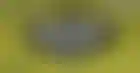 阿什大赌场WCOAP扑克锦标赛：团队资格赛与经典周末