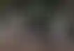 学生贷款还款即将恢复:你需要了解的事项