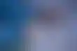 加州应对识字危机：任命识字主任推动阅读发展