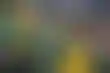 奥克兰运动家队搬迁：球迷的失望与回忆