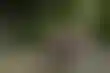 美国小学音乐教师性侵案:投诉与调查