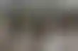 奥克兰FAME教堂大火后的重建与社区关怀