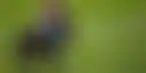 BetMakers与Hawthorne赛马场续签合作协议