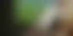 Low6与WhoScored.com合作推出幻想体育游戏UltimateFan