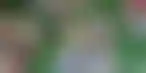 荷兰KSA发布体育博彩操纵比赛调查结果