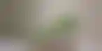 德州扑克视频课推荐:Bettormetrics获A轮融资：助力体育博彩分析