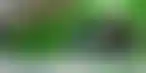 德州扑克怎么玩才能赢:法国博彩业的未来:PMU加入AFJEL游说