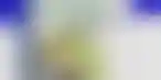 英国大学生赌博问题调查:风险与对策