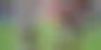 巴西足球俱乐部抗议体育博彩法案修订