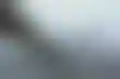 نمو متواضع للإيرادات في ماكاو- هل ينتعش سوق المقامرة الشامل؟