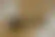 ستار كازينوز تواجه إجراءات تأديبية محتملة بسبب المخالفات