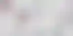 比利时将Polymarket列入黑名单:非法赌博网站遭封禁