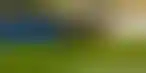 تحالف Racing1- تبسيط سباقات الخيل عالميًا للمراهنات