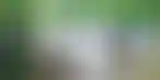 Leadstar Media:巴西市场启动与附属公司策略