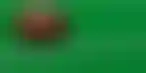 شراكة bwin و NFL- تجربة مراهنات رياضية فريدة في ألمانيا والنمسا