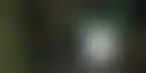 الماسترز لا يزال ملك مراهنات الجولف رغم صعود دوري LIV