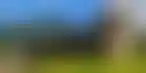كامبي تحافظ على الأداء المالي القوي وسط تحديات النمو والتنويع