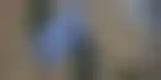 希腊加强合作,应对青少年赌博成瘾问题