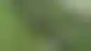 Lottomatica和Goldbet合作举办Poker Padel Challenge赛事