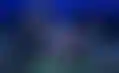 WPT花园扑克锦标赛:斯蒂普钦夺冠