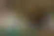 扑克游戏:凯利·明金:扑克世界中的女性力量