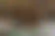 德州扑克好玩:扑克新闻与玛丽亚·洪的脸书问答活动