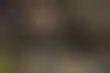 德州扑克能赢钱:扑克牌玩家伯纳德·李：从扑克到舞台的故事