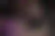 德州扑克日活高平台:汤姆·德万在Hustler Casino Live的精彩扑克对决
