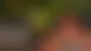 扑克界惊天丑闻:波斯特涉嫌作弊事件始末