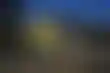 扑克快玩:奥克兰学校铅污染：修复成本与预算难题