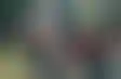 纽黑文学区教师结束罢工，达成协议